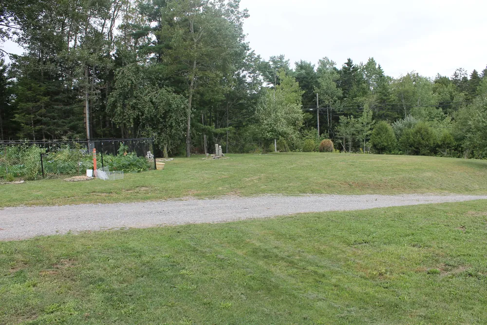 Gravel driveway running beside a cut lawn, woods behind it