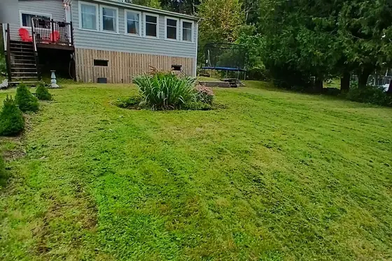 A Westfield Road lawn after the cut, even, with mower lines across it