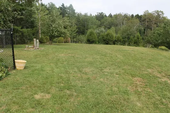 Freshly mowed open lawn bordered by trees