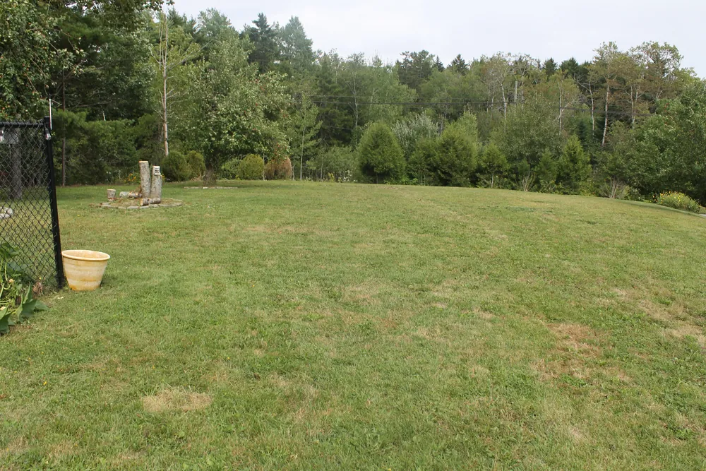 Freshly mowed open lawn bordered by trees