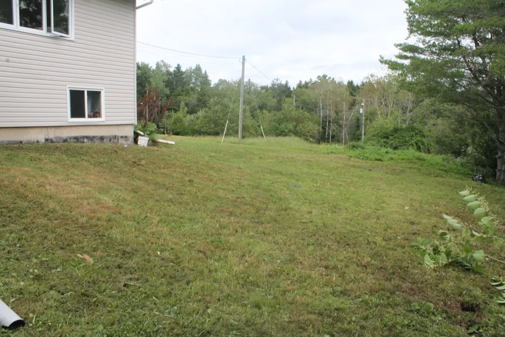 Mowed lawn beside a house