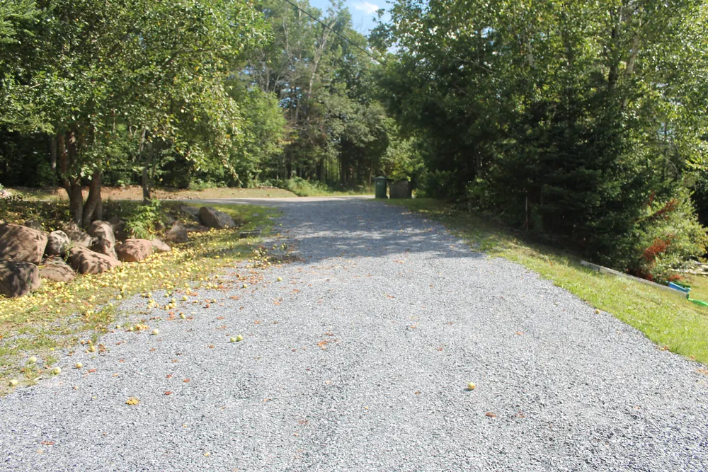 Cleared gravel driveway with trimmed grass edges